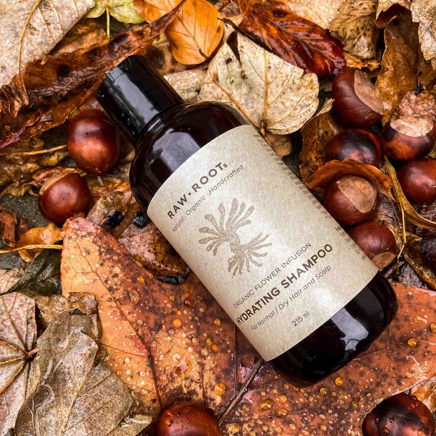 Raw root Hydrating Shampoo zum Waschen von Dreadlocks