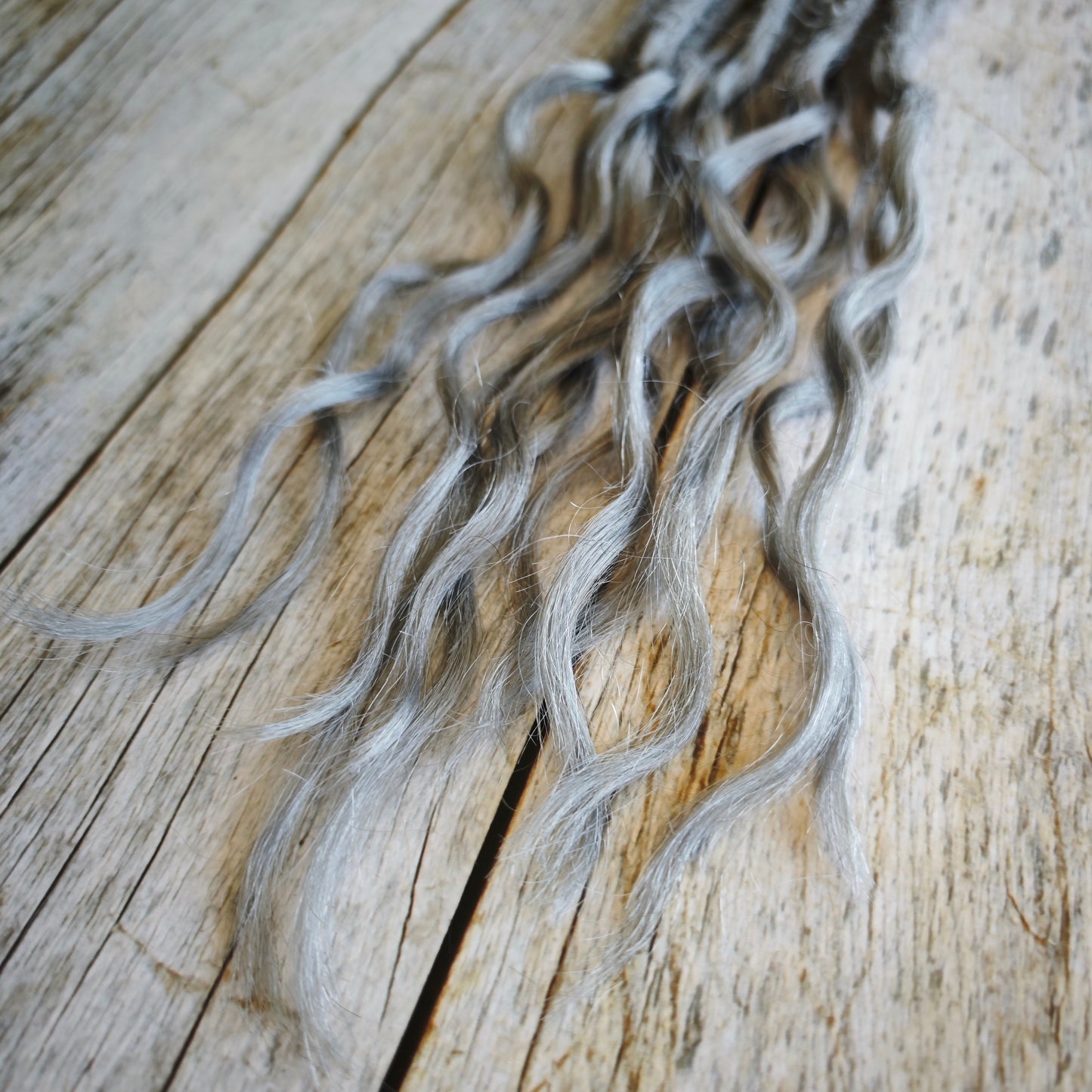 Echthaar Dread Extensions | grau/silber | gewellte Spitzen