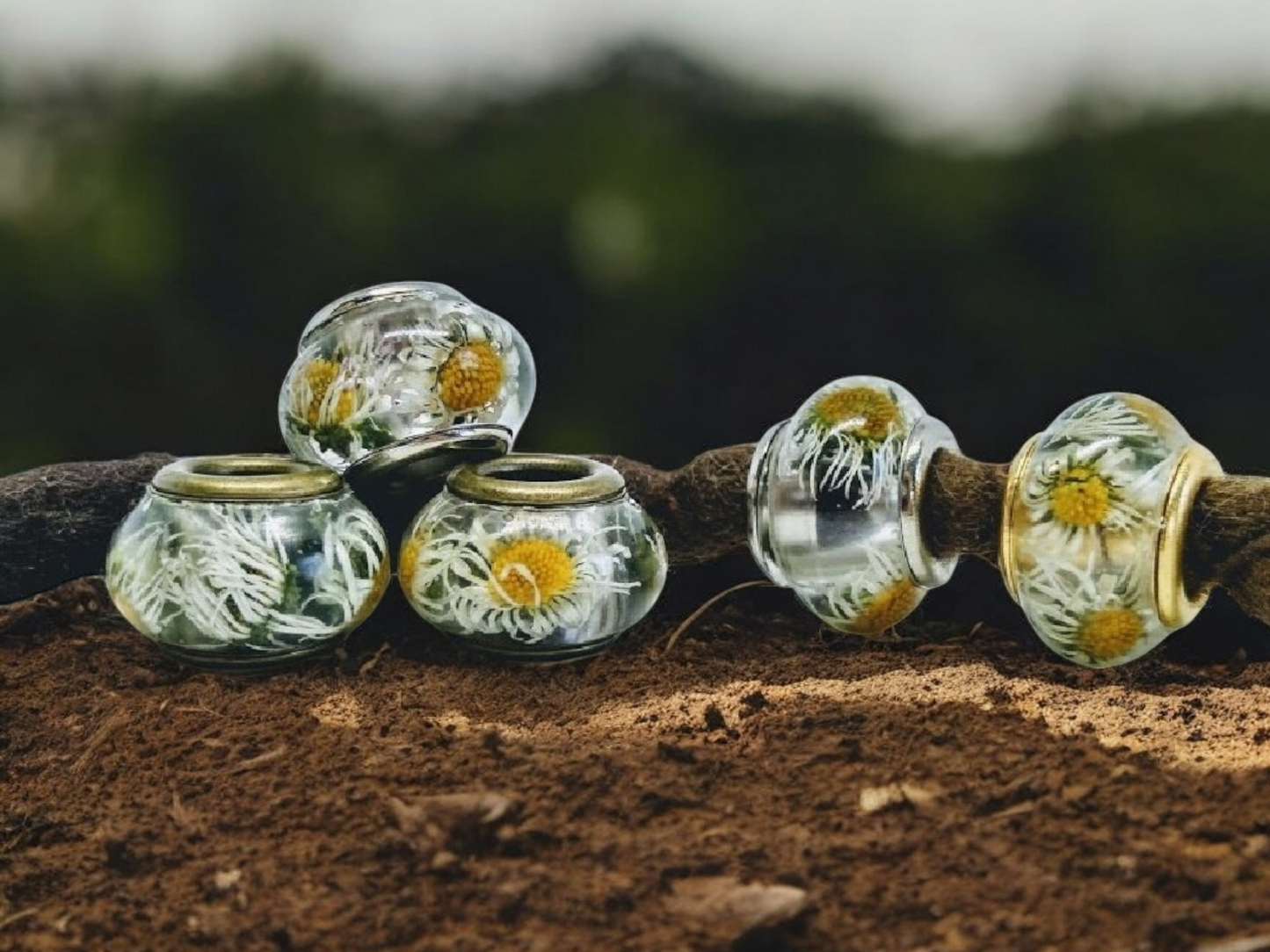 Pflanzenperlen | Dreadperlen mit Gänseblümchen