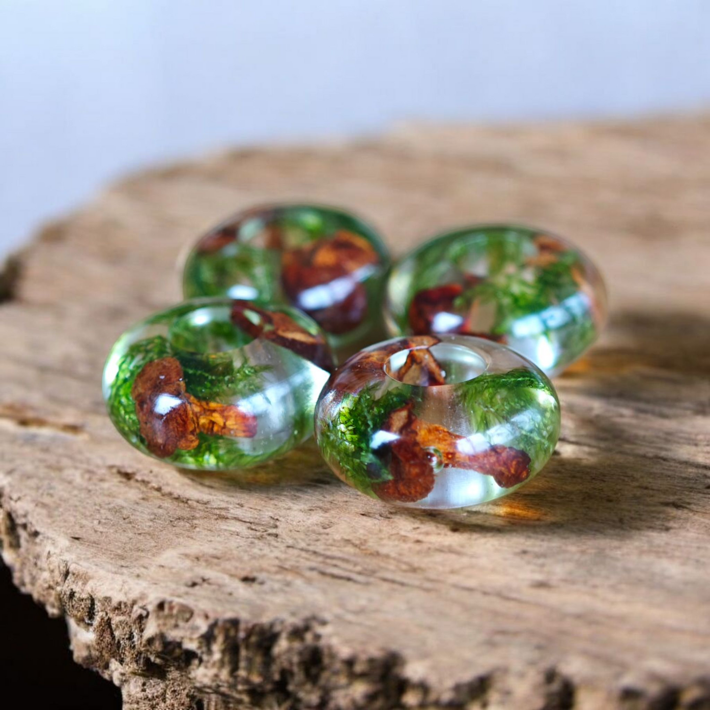 Pflanzenperlen | Dreadperlen mit Pilzen und Moos