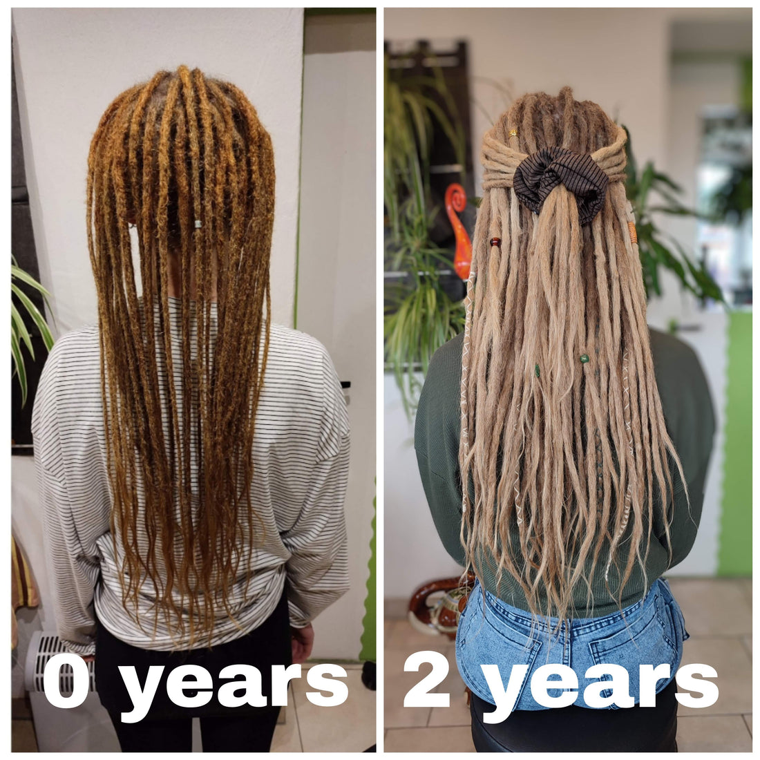 Dread Entwicklung - wie schnell wachsen sie und werden sie dicker??